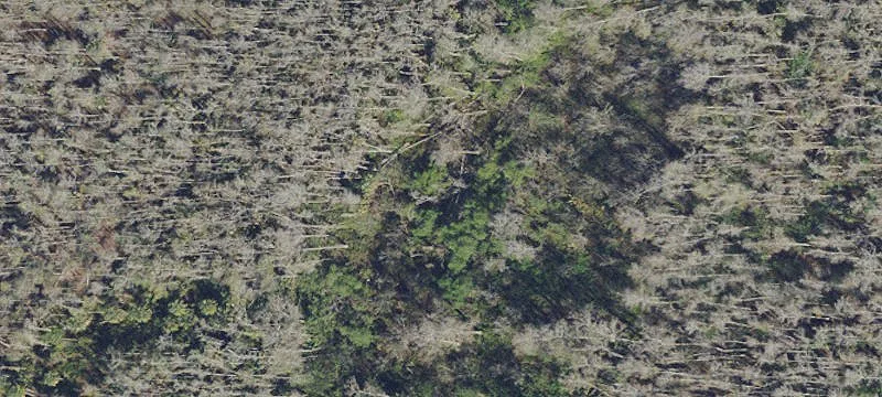 Fort Myers Land Opportunity