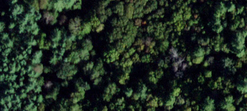 7.4 Acres in Callicoon