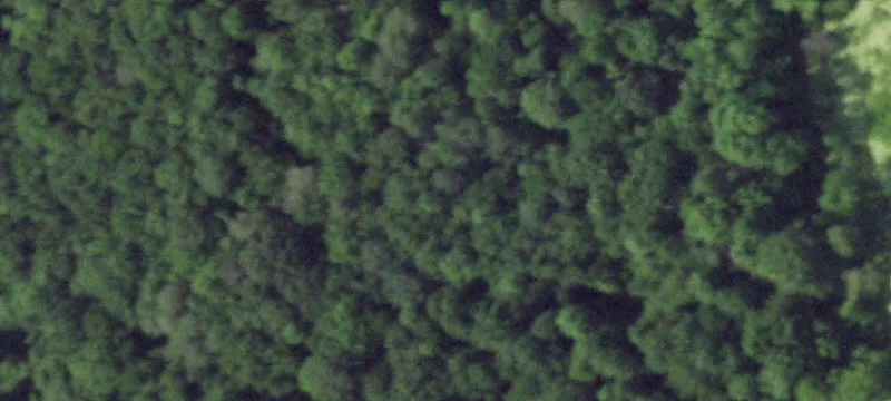 Secluded Wooded Land with Potential