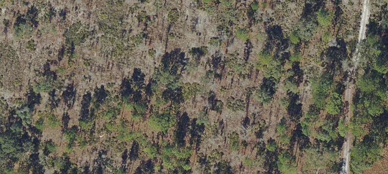 Residential Land in Royal Highlands