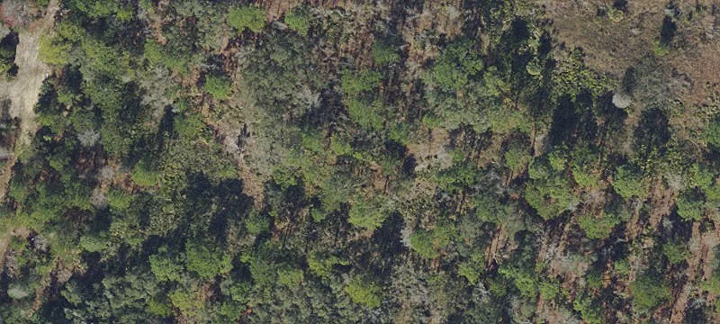 Royal Highlands Acreage for Sale