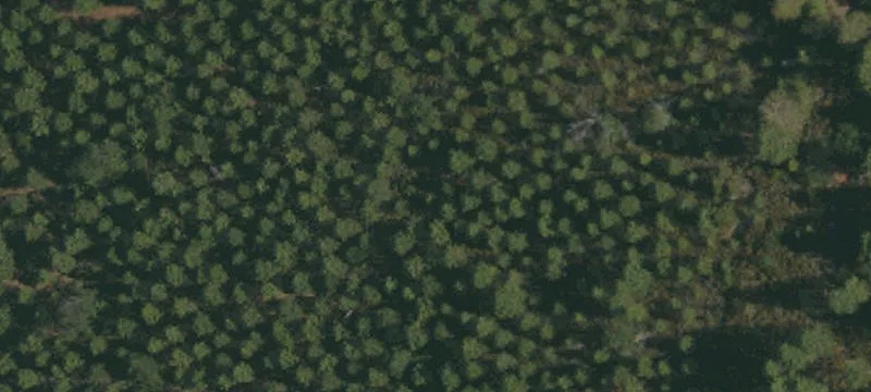 Round Mountain Off-Grid Land Parcel