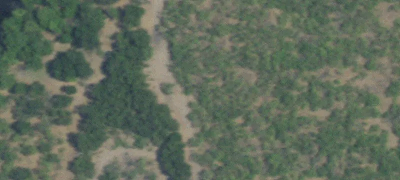 237-Acre High-Fenced Texas Ranch