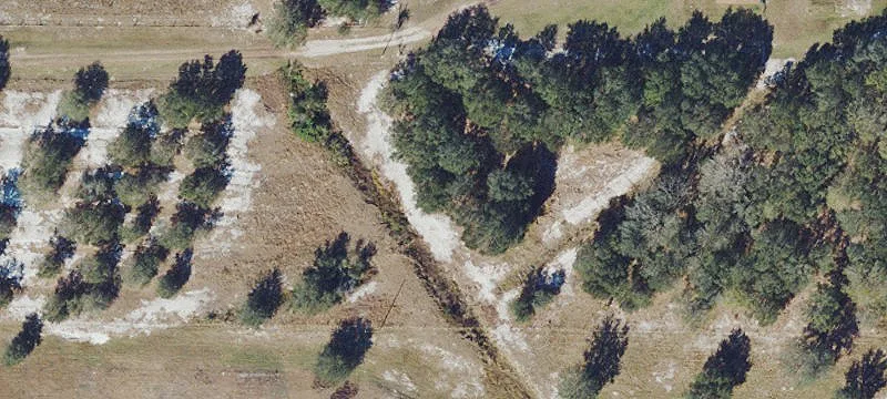Myakka City 5-Acre Retreat
