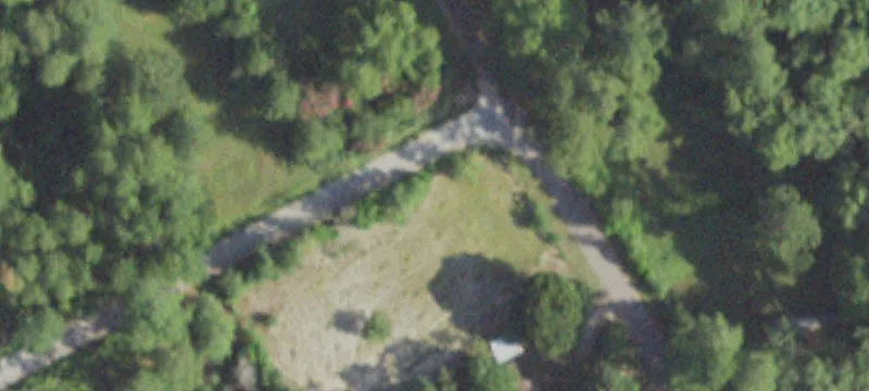 Managed Timber Tract For Sale
