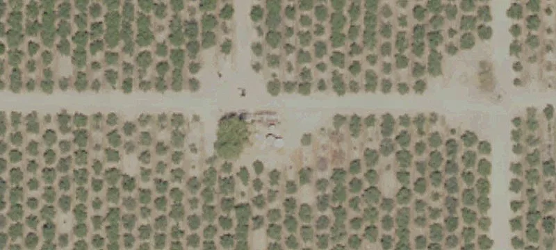 Productive Almond Orchard for Sale