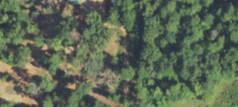 Partially Wooded Residential Lots