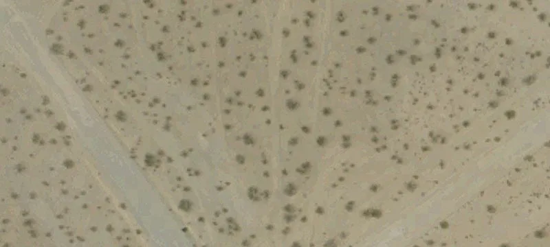 Residential Agricultural Land Opportunity