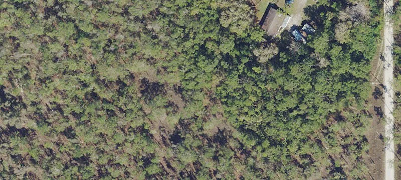 22+ Acres in Estero