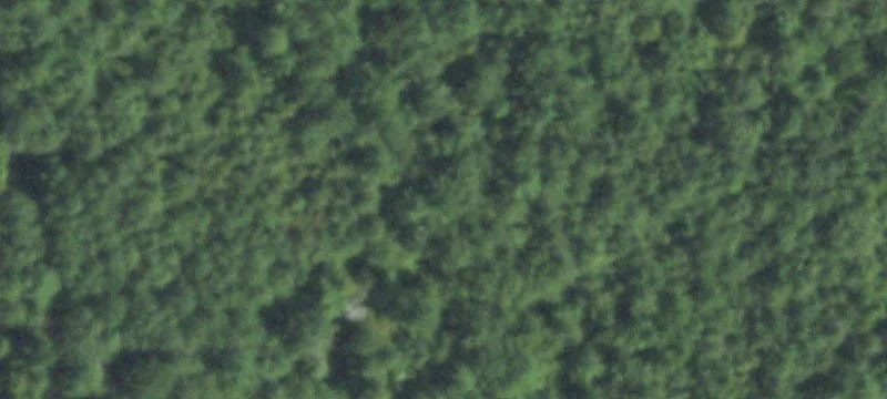 46 Acre Hardwood Tract