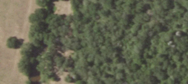 40 Acres of Texas Paradise