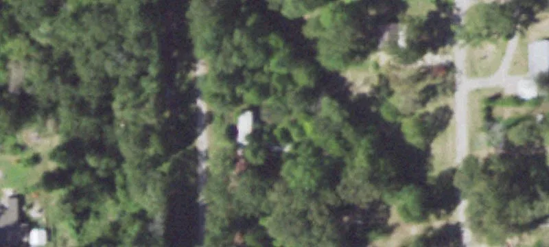 Land Near Lake Livingston