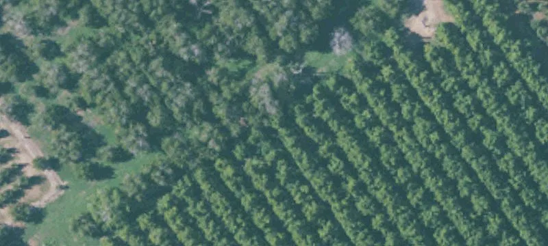Versatile Agricultural Land Holding
