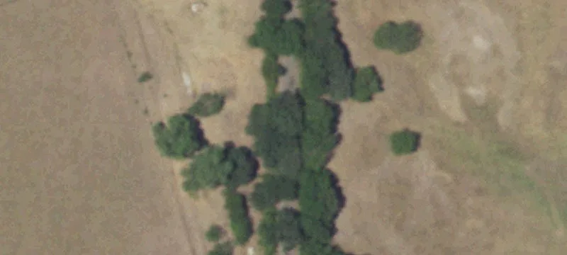 Expansive Acreage with Pond