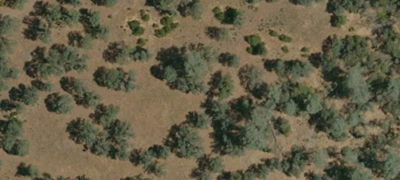 Land Near Coulterville Gold Rush