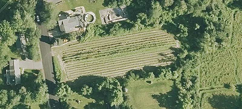 Residential Land in Convenient Location