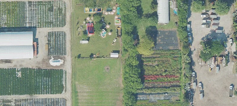 5.1 Acres Ranch with Licenses