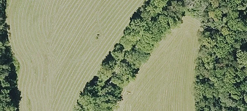 Secluded Land with Year-Round Brook