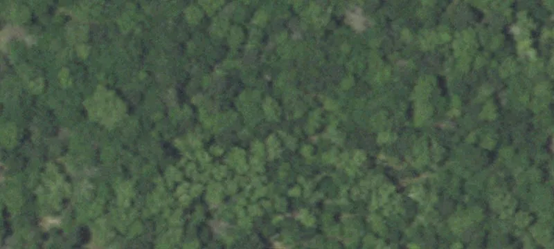 Bellville Land with River & Pond