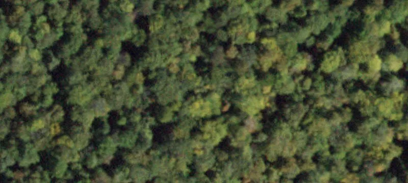 Spacious Wooded Land for Hunting