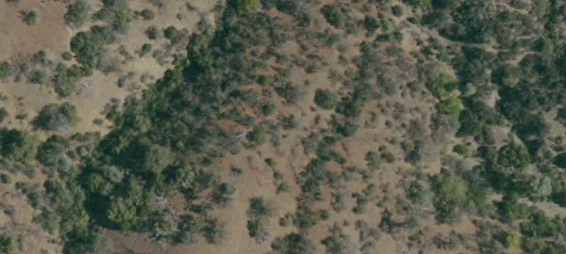 Paicines Land for Outdoor Retreat