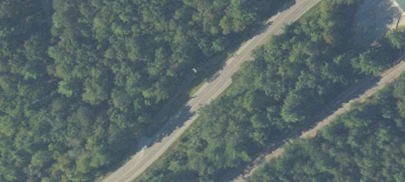 East Tawas Wooded Land