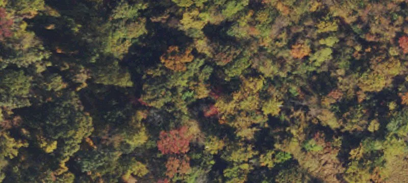 Secluded Hunting Camp Adjoining WMA
