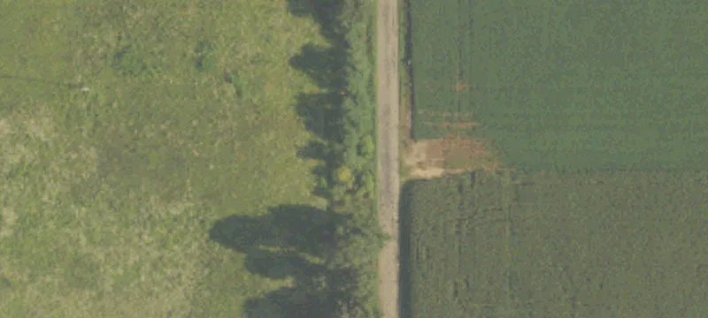 Horse and Cattle Farm