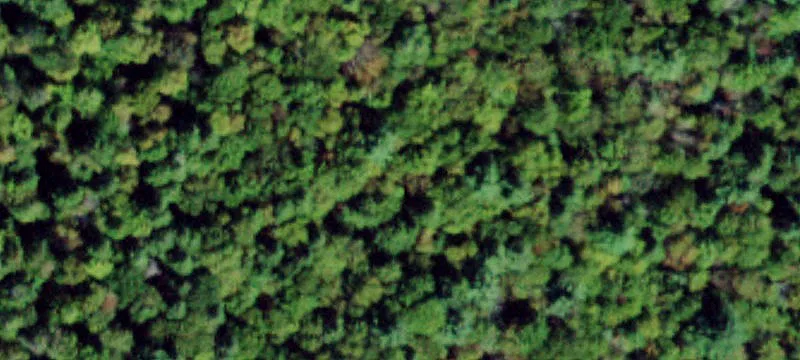 2.5 Acres Wooded Residential Parcel