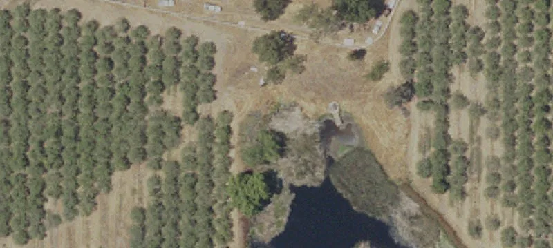40 Acres Almond Orchard