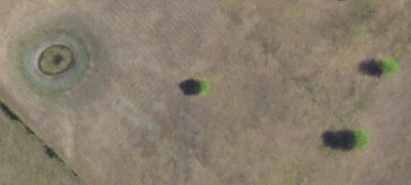 Texas Land with Ag Exemption