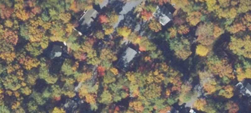 Mount Jackson Specialty Property