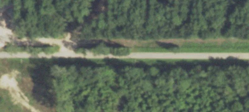 Land For Sale Shepherd, TX