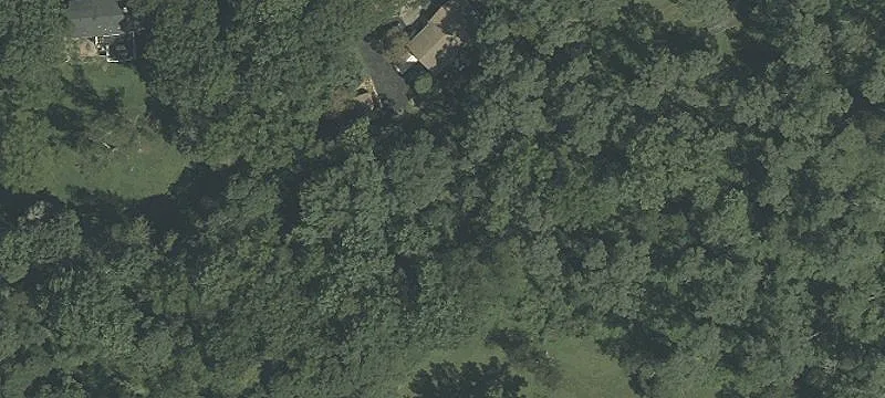 Two Houses on Wooded Acreage