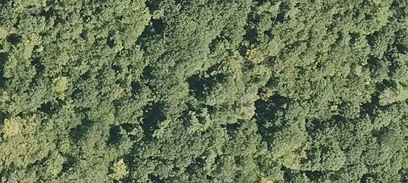 Sanbornton Land with Waterfall Feature