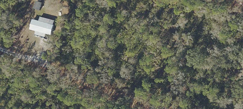 Secluded Wooded Lot For Sale