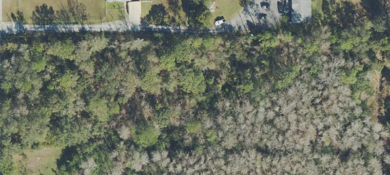 East Orlando Untouched Land