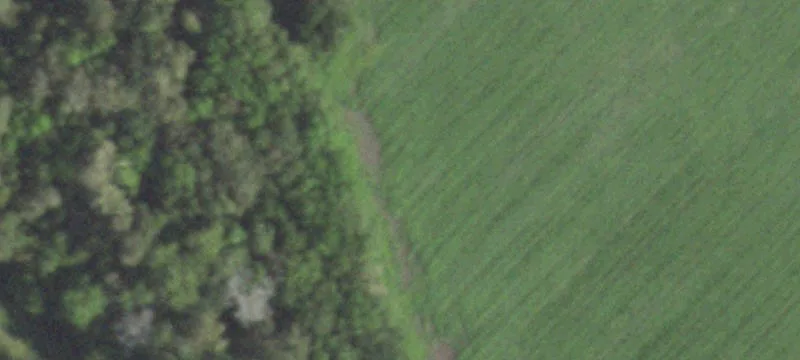10-Acre Tract in Guy, Texas