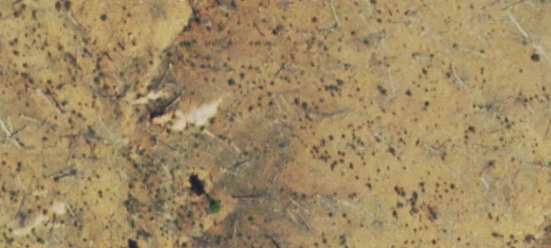 Land with Mountain Views