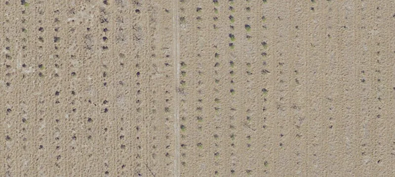 Land Available on Palm Beach