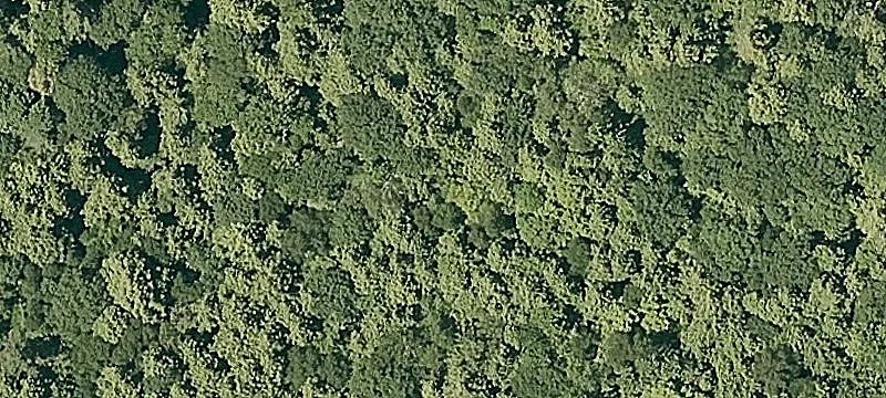 108 Acres Sugarbush Land