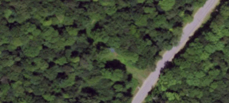 Wooded Acreage with Trails