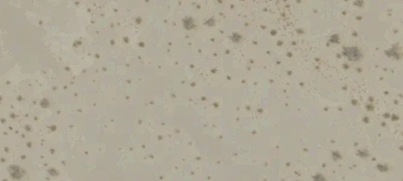Residential Desert Land Opportunity