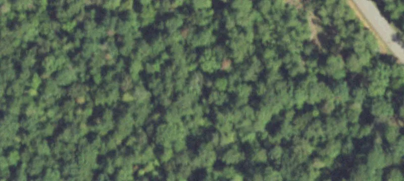 7.12 Acres Homesite in Hillister