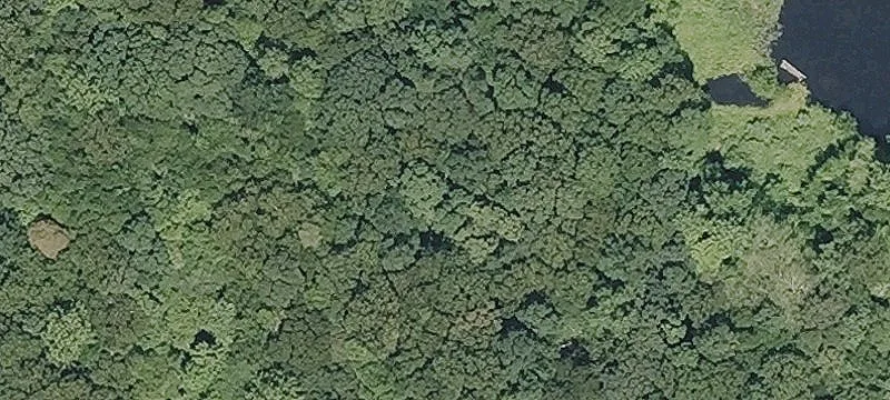32 Acres with Road Frontage