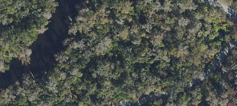 Alafia Preserve Waterfront Homesite