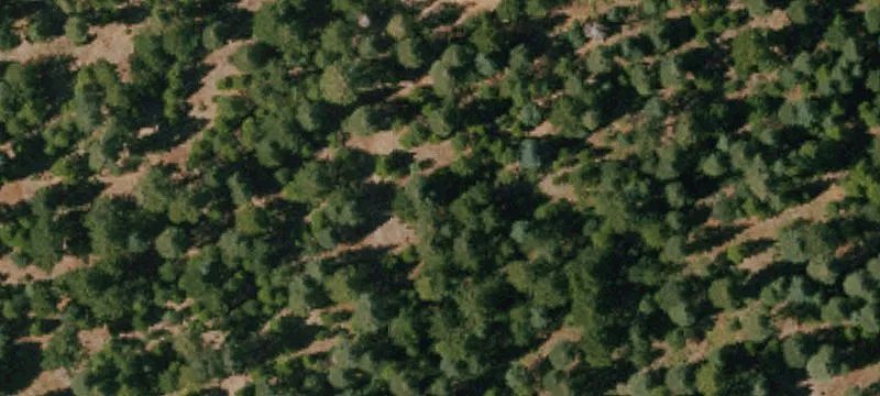 Three Acre Nevada City Parcel