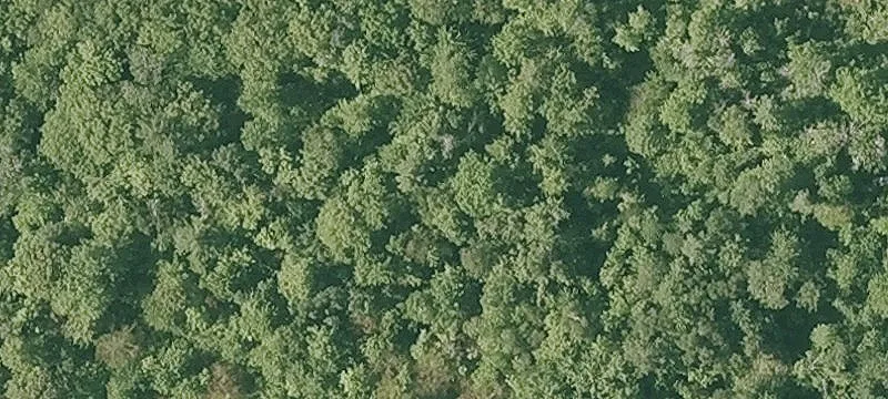 Lyme, NH Land Parcel