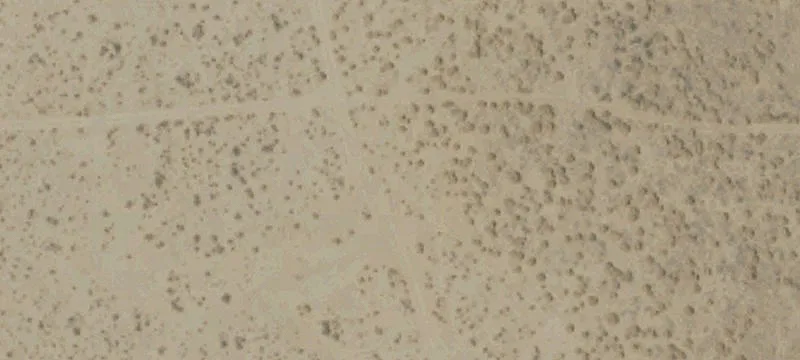 Joshua Tree Desert Land Parcel