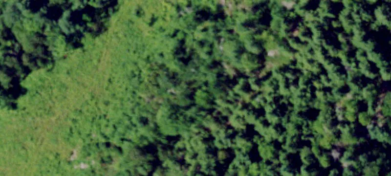 Remote Island on Grass Lake